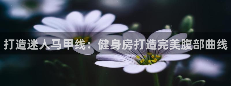 凯时AG登录入口官方版